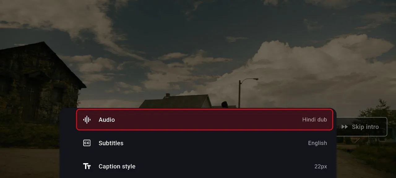 NetMirror video player — Audio, subtitles & captions: Switch the audio track (like Hindi dub), turn subtitles on in your language, and style the captions — both size and colour — all mid-playback.