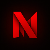 NetMirror logo