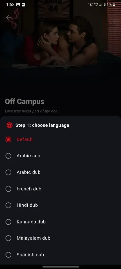NetMirror offline download step 2: Pick your audio